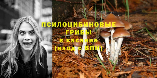 метамфетамин Сосновый Бор